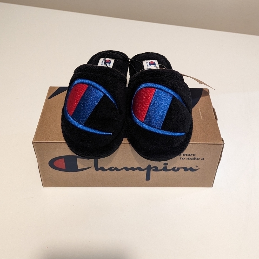 Champion slipper slides